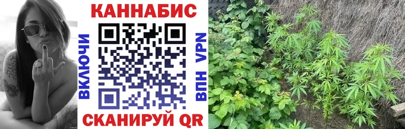 Магазин наркотиков Буй АМФ Экстази Мефедрон ГАШ СОЛЬ Конопля