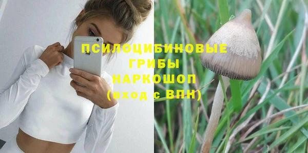 мяу мяу мука Алексеевка