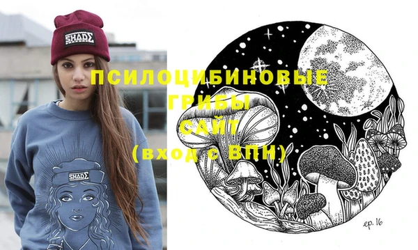 spice Алексин