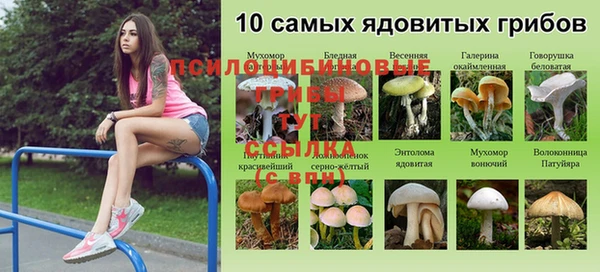 spice Алексин