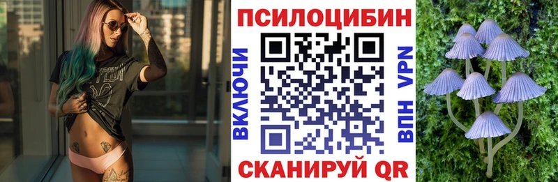 Галлюциногенные грибы Psilocybe  Буй 